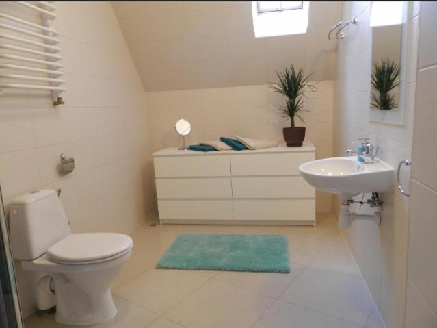 Apartamenty Skaldowie ザコパネ エクステリア 写真