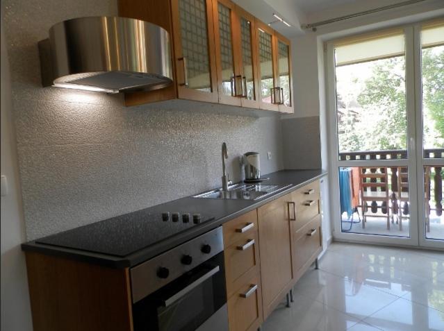 Apartamenty Skaldowie ザコパネ エクステリア 写真